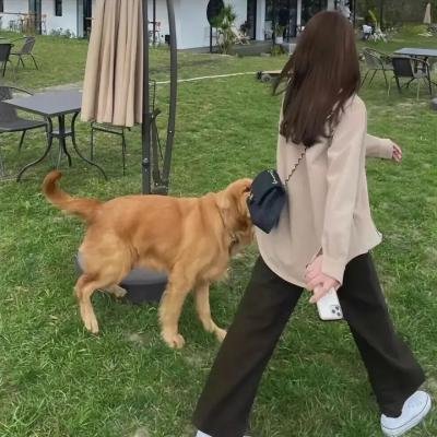 纽约影音实验室