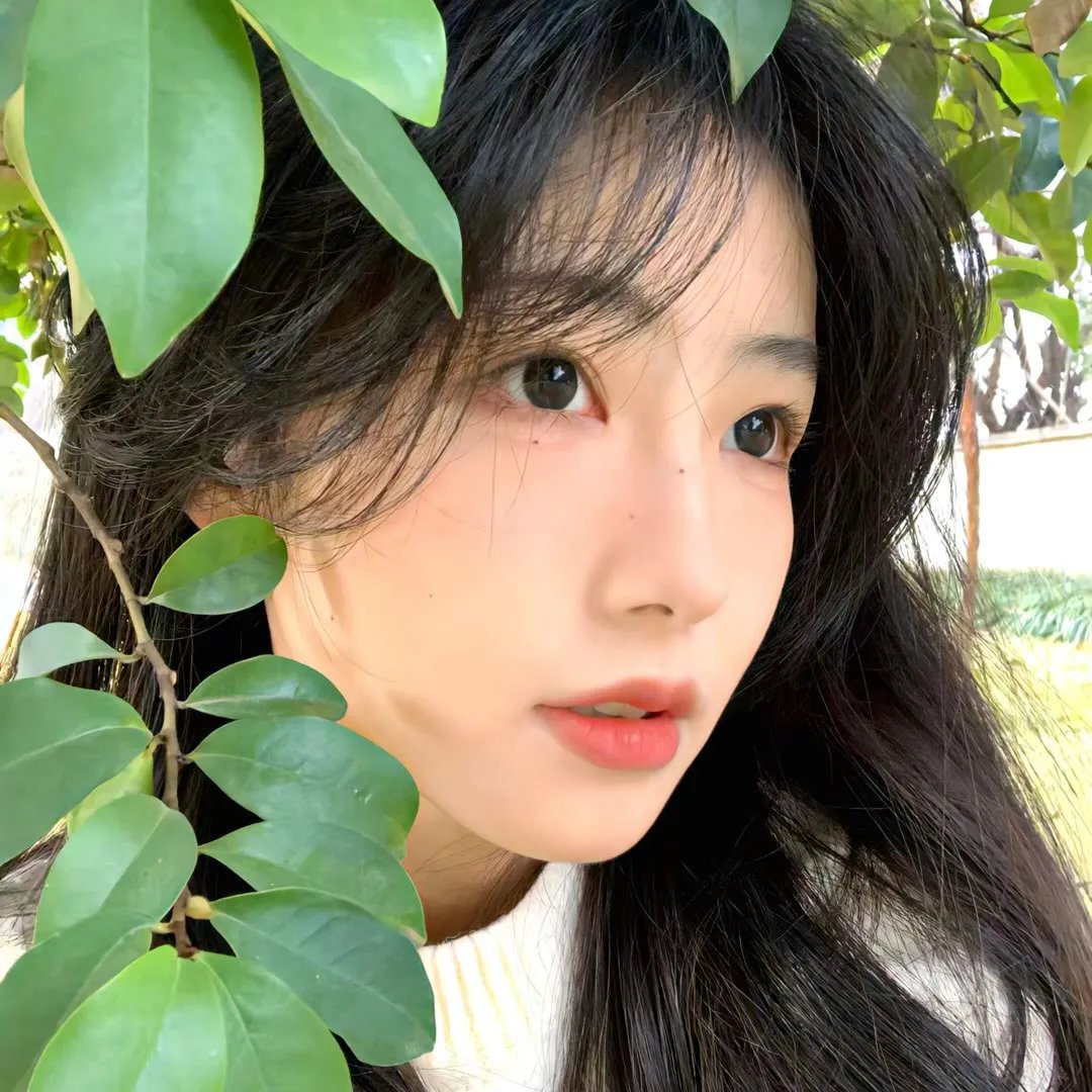 纳米核心第二季